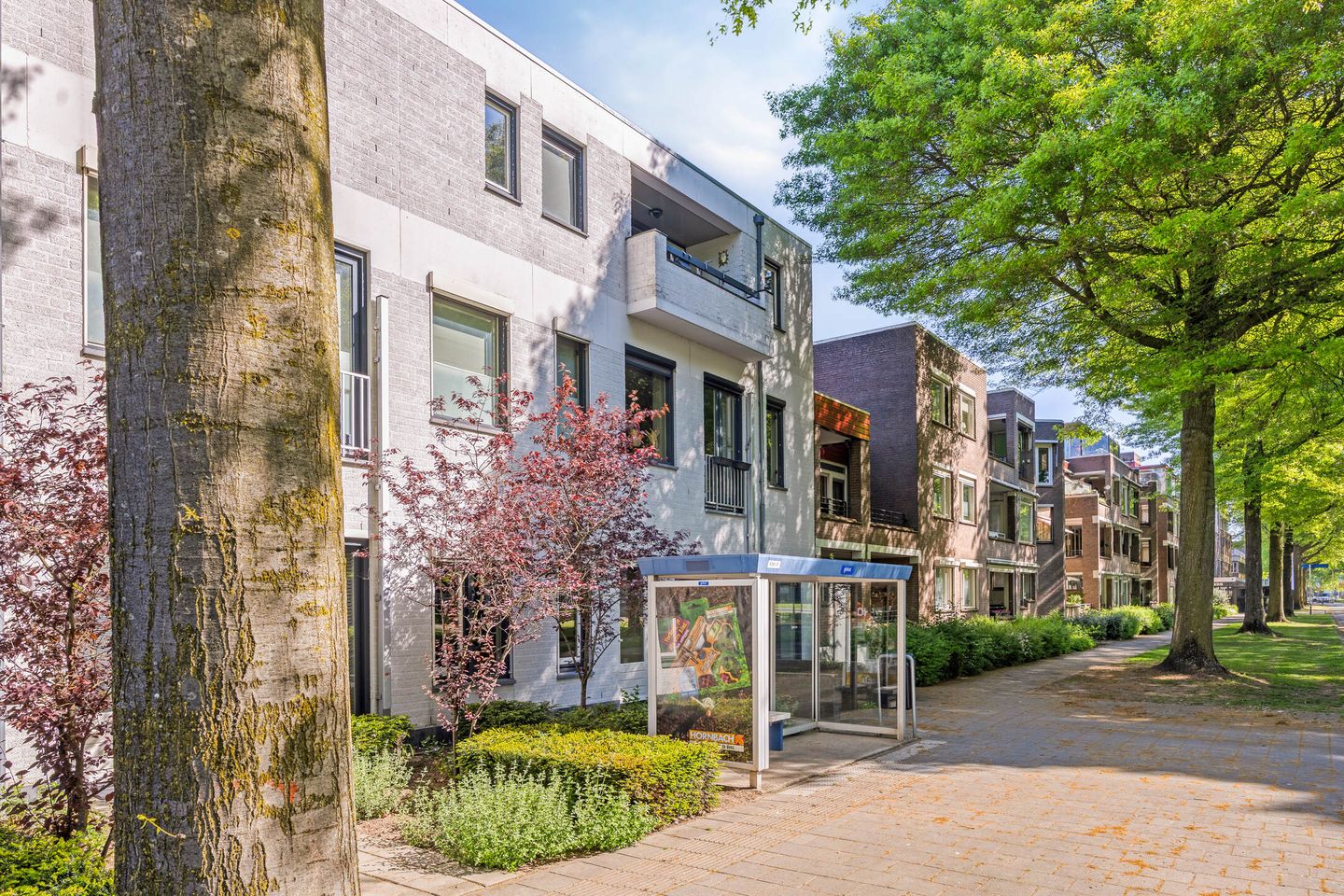 Foto 19 van Raadhuislaan 103