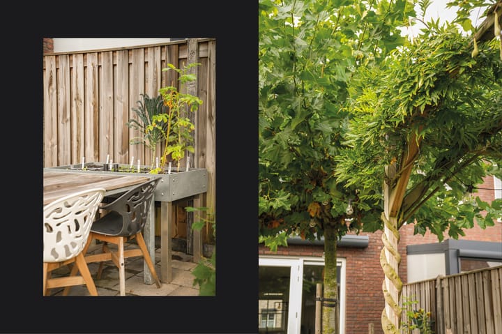 Foto 32 van Dericks en Geldens 6