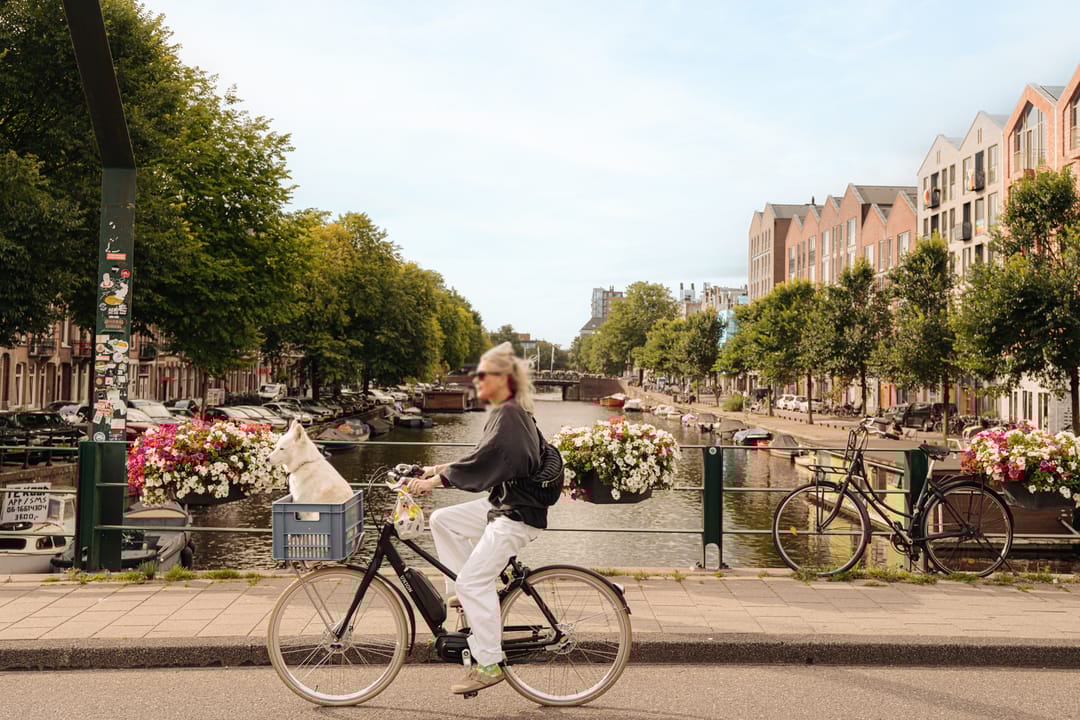 Foto 22 van Kwakersplein 6-G