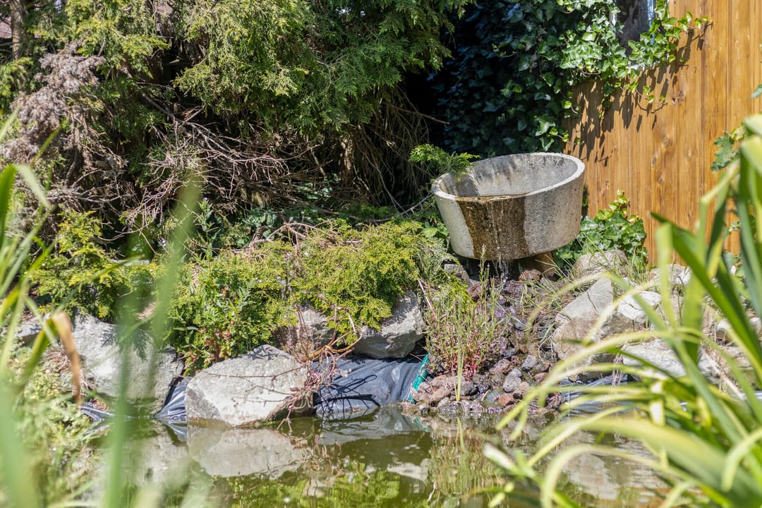 Foto 31 van Gajus Nautastraat 71