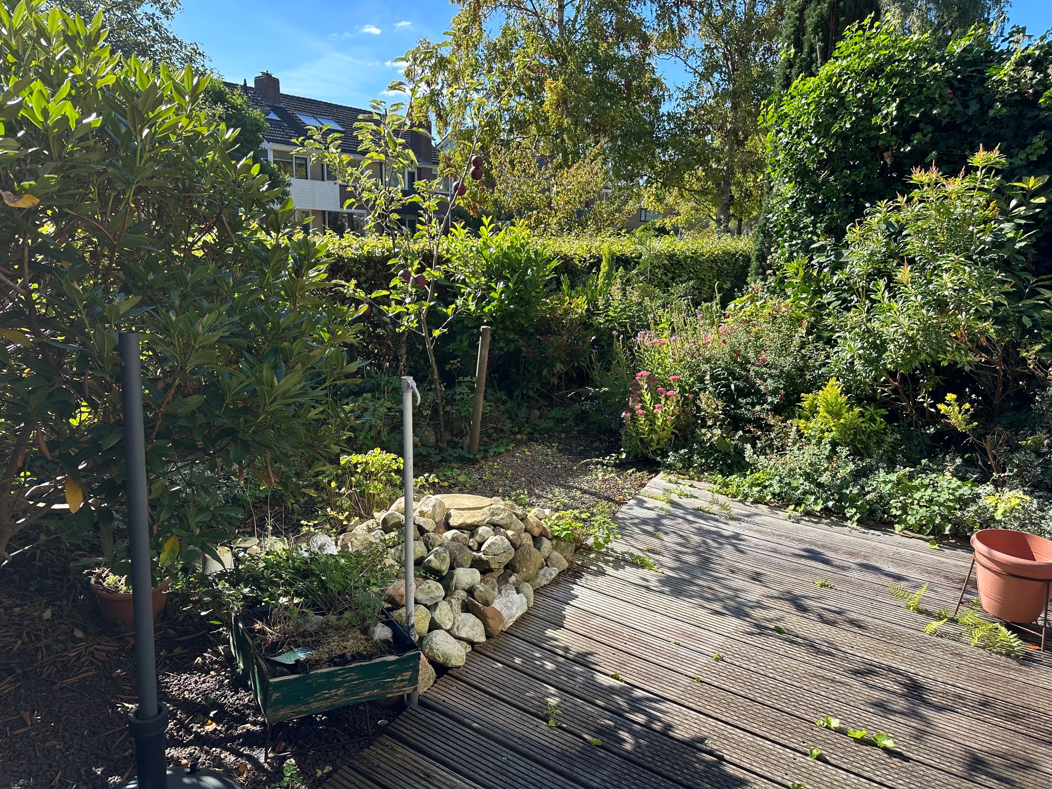 Foto 9 van Hortensiaweg 42