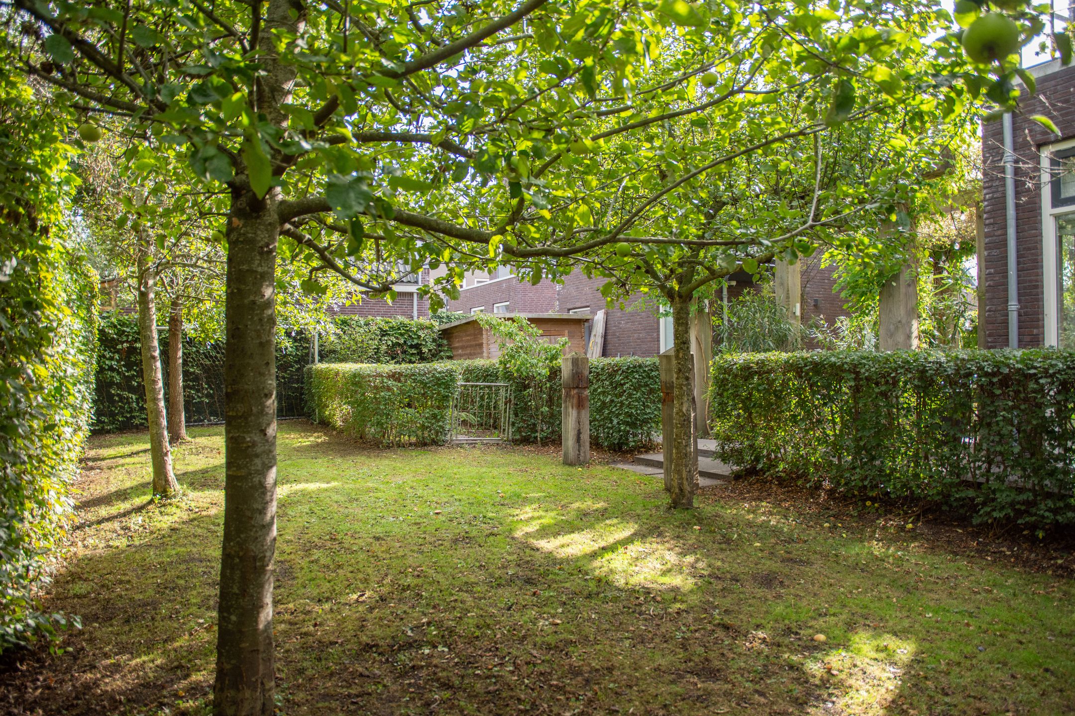 Foto 54 van Chris Schutweg 14