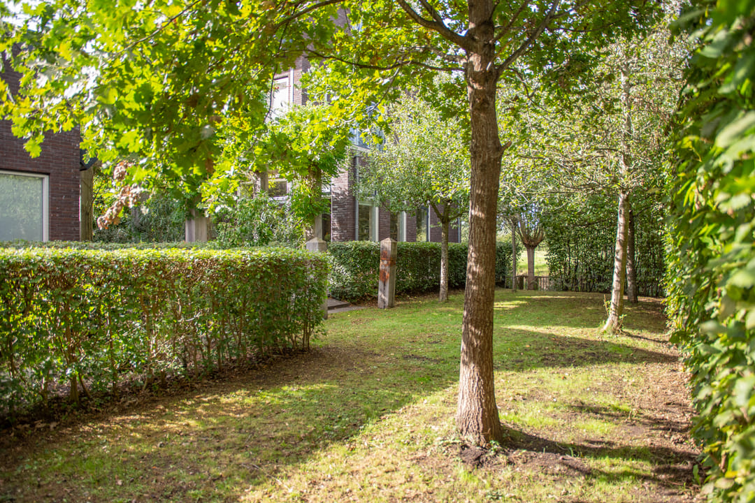 Foto 56 van Chris Schutweg 14