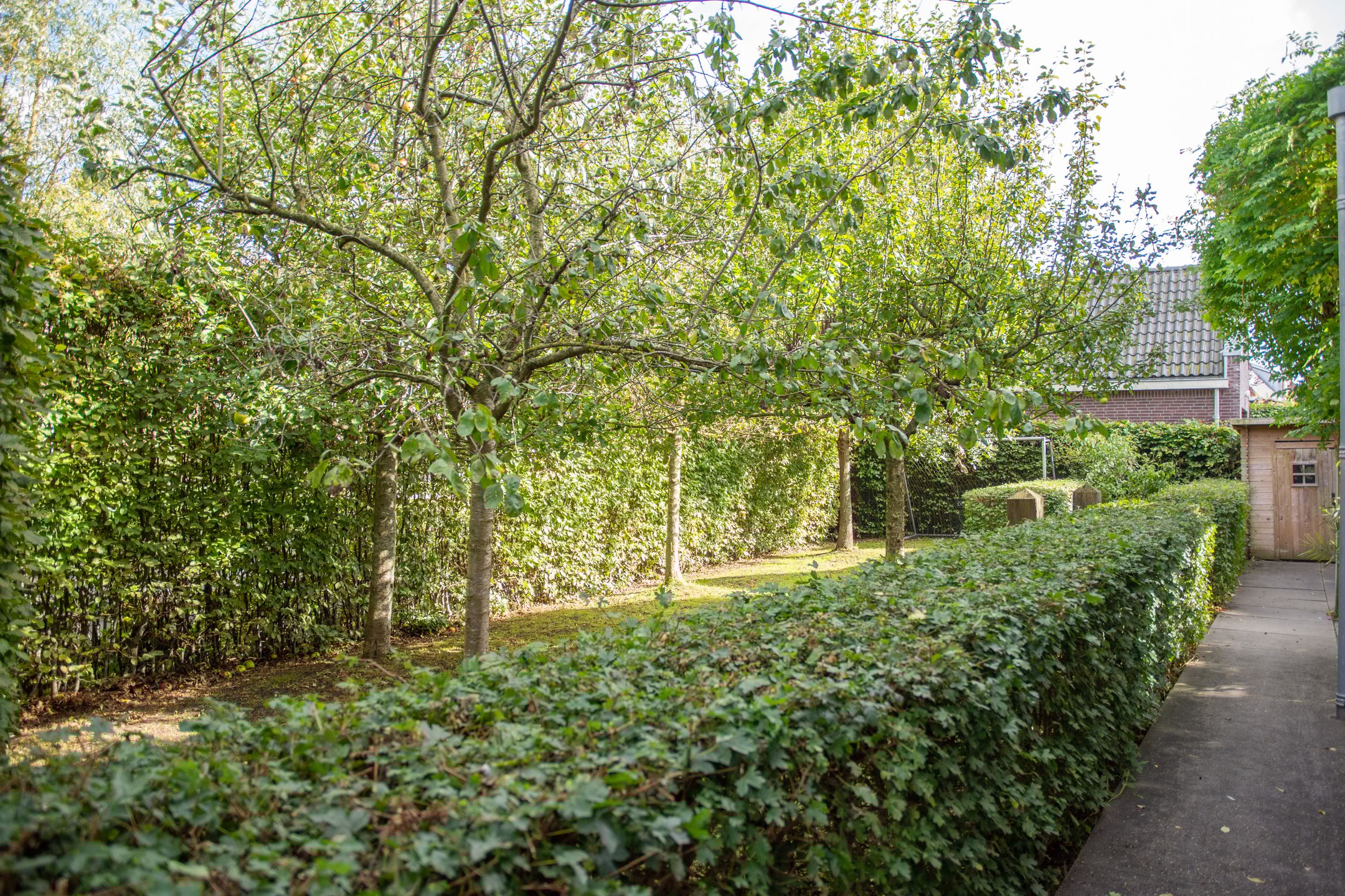 Foto 57 van Chris Schutweg 14