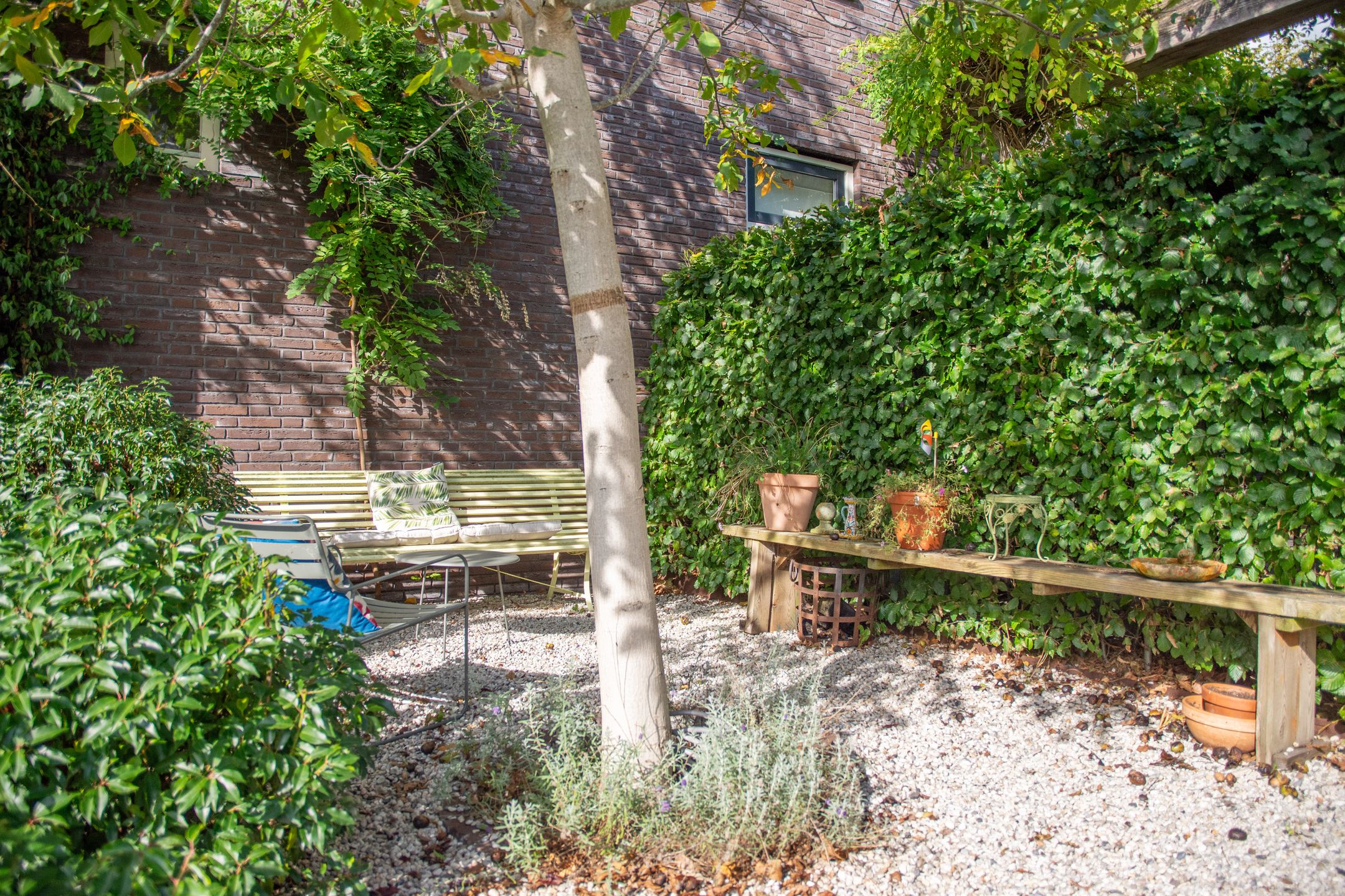 Foto 66 van Chris Schutweg 14