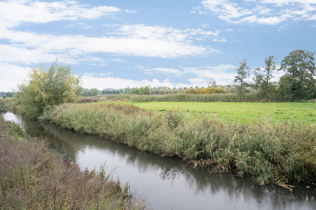 Foto 67 van Chris Schutweg 14