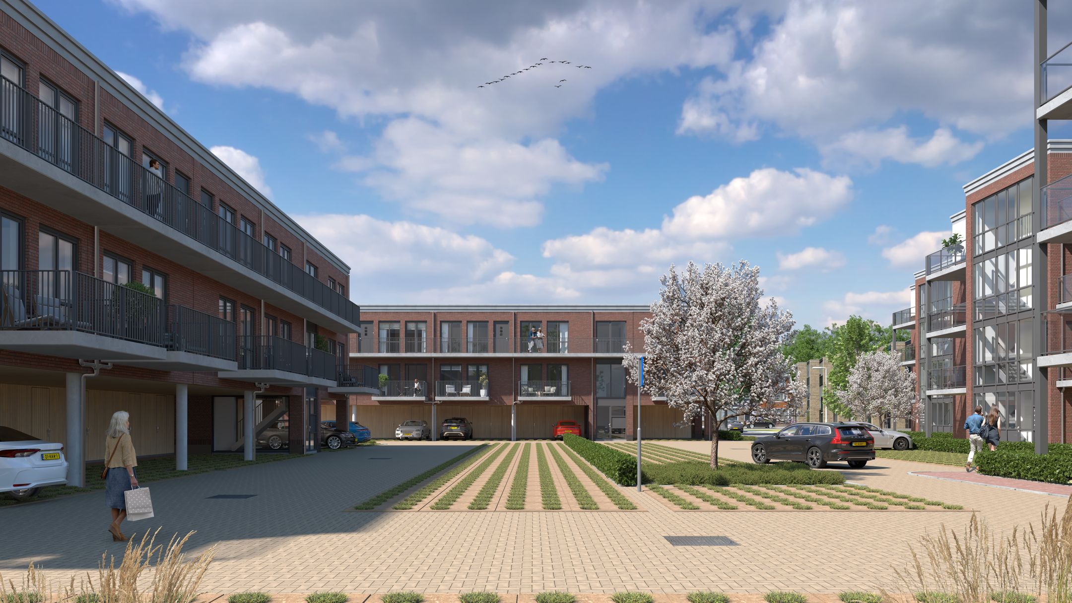 Foto 7 van Roosevelt