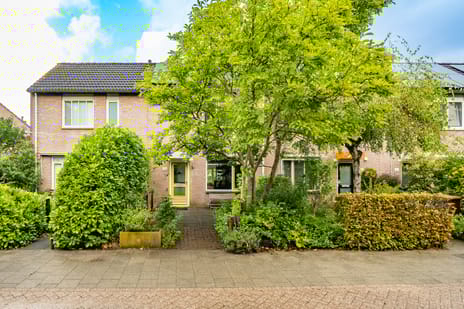 undefined main image