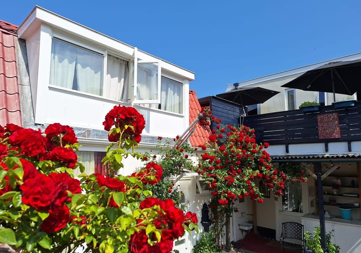 Photo 27 of Haarlemmerstraat 52