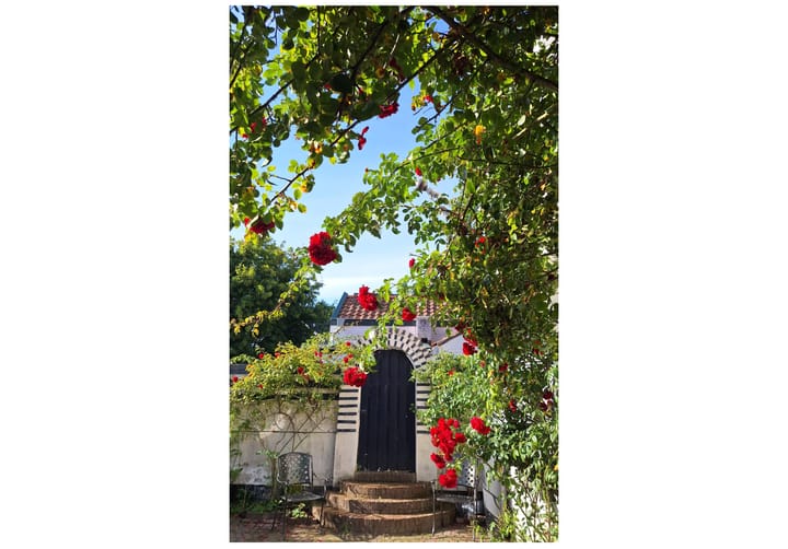 Photo 28 of Haarlemmerstraat 52