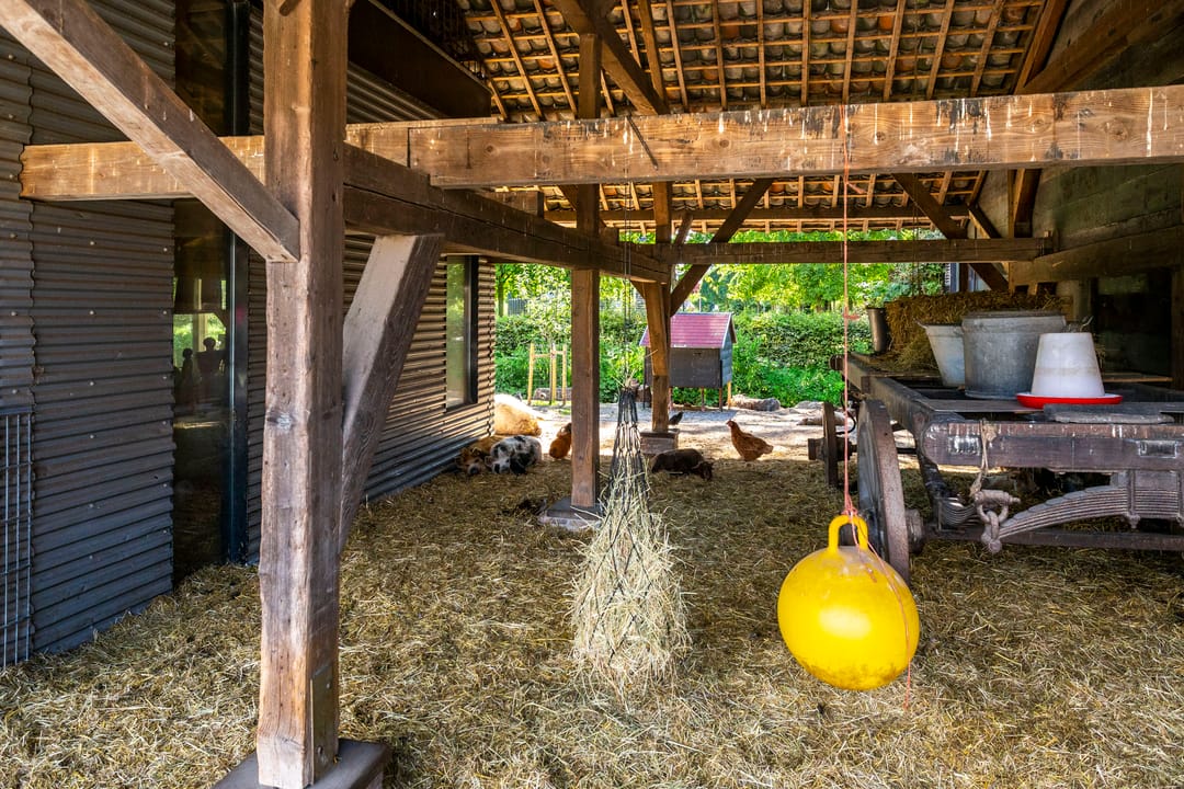 Foto 26 van Van Diemenstraat 12