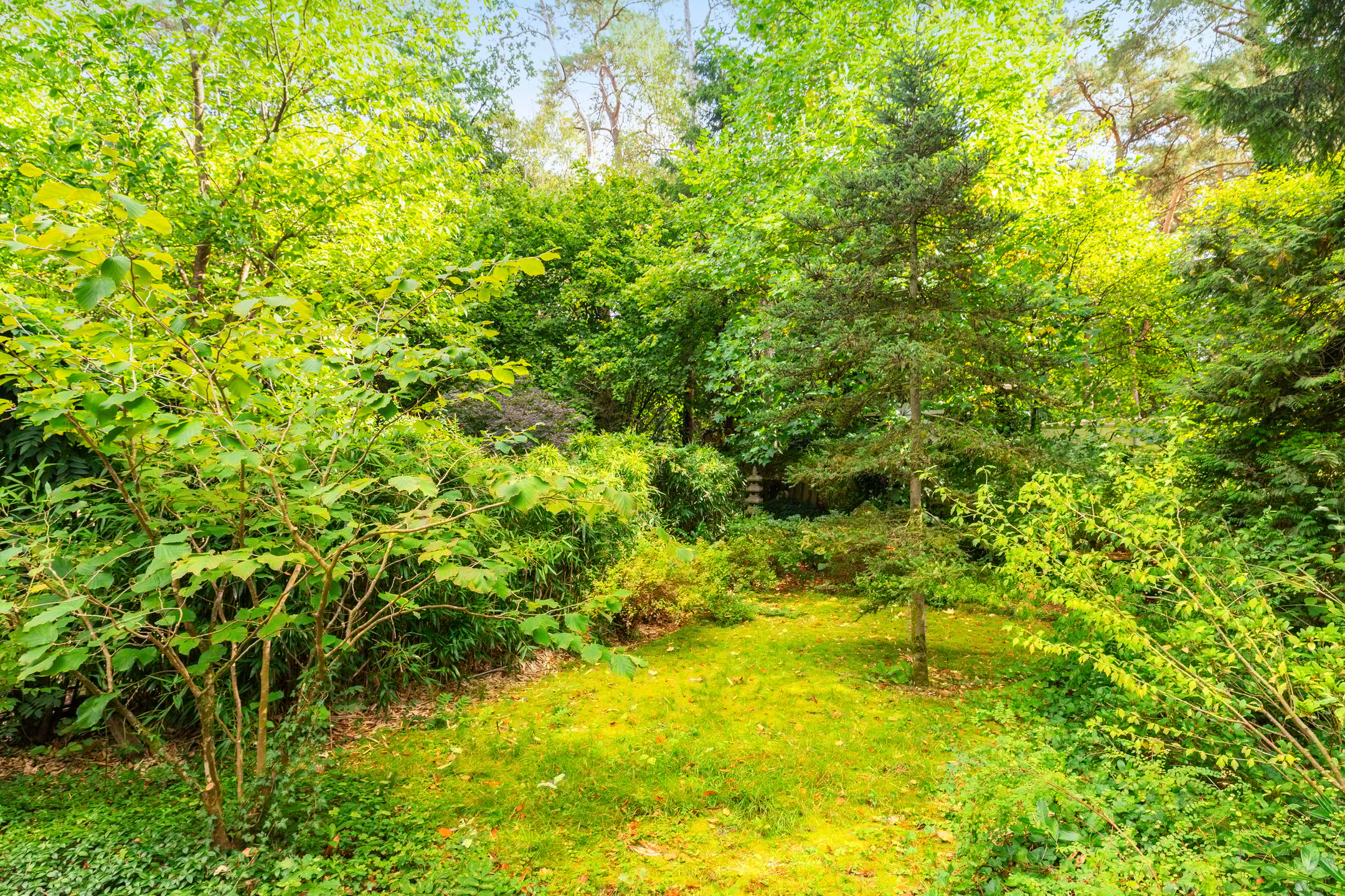 Foto 39 van Juliana van Stolberglaan 7