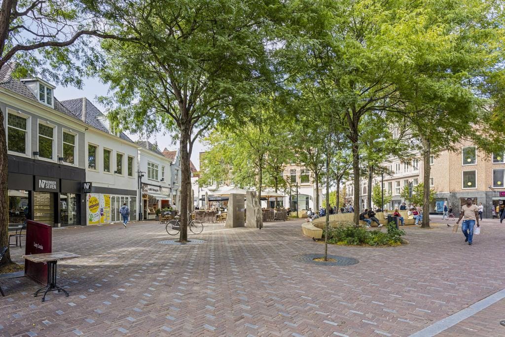 Foto 24 van Koestraat 41-C