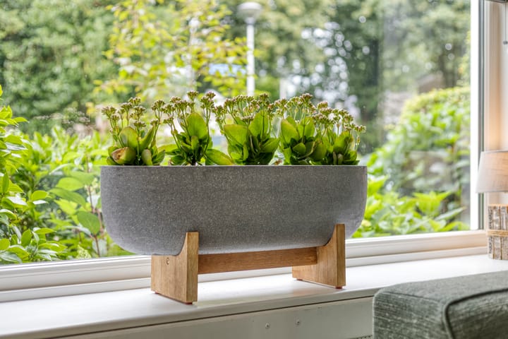 Foto 11 van Speenkruidstraat 32