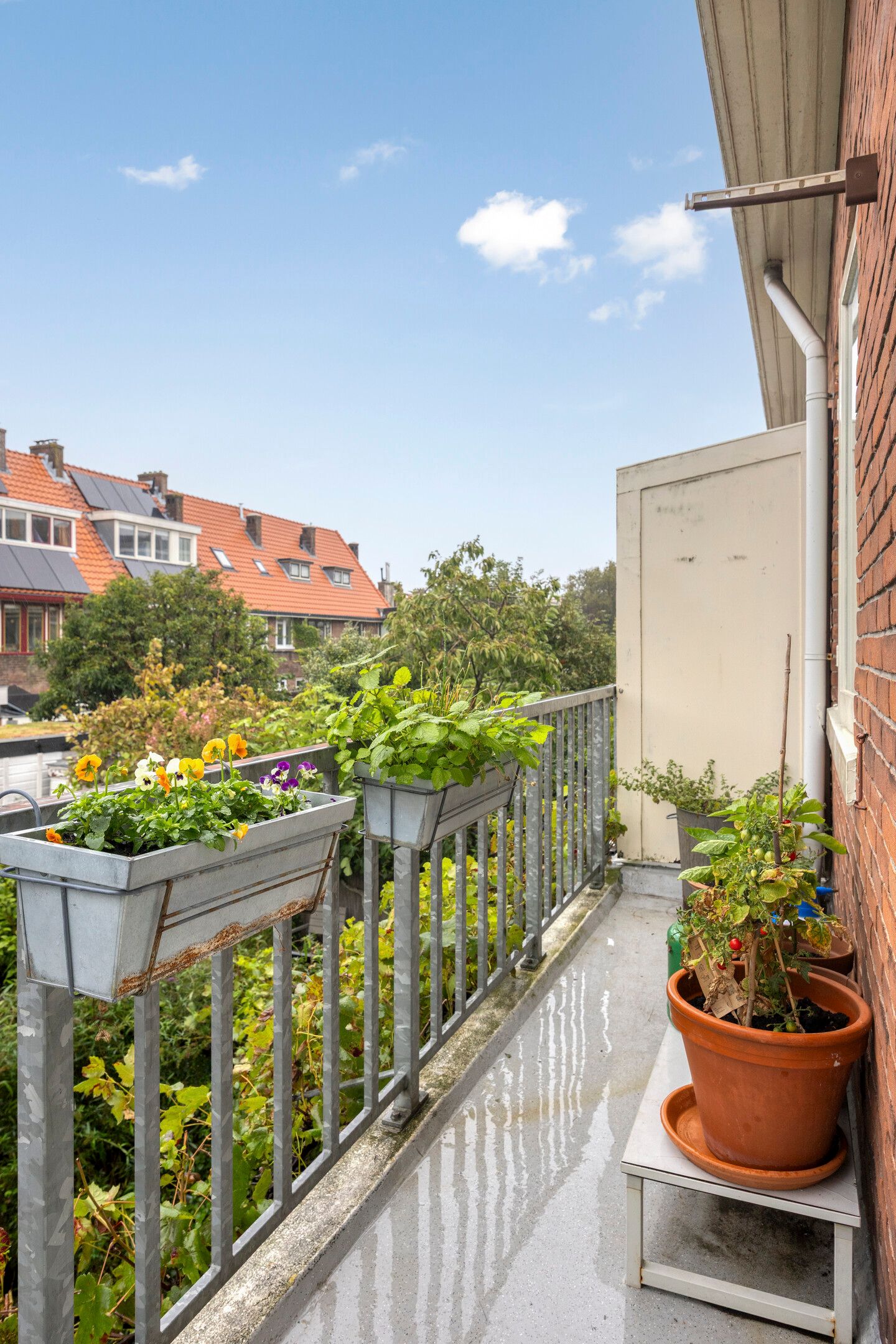 Foto 33 van Jan Haringstraat 28