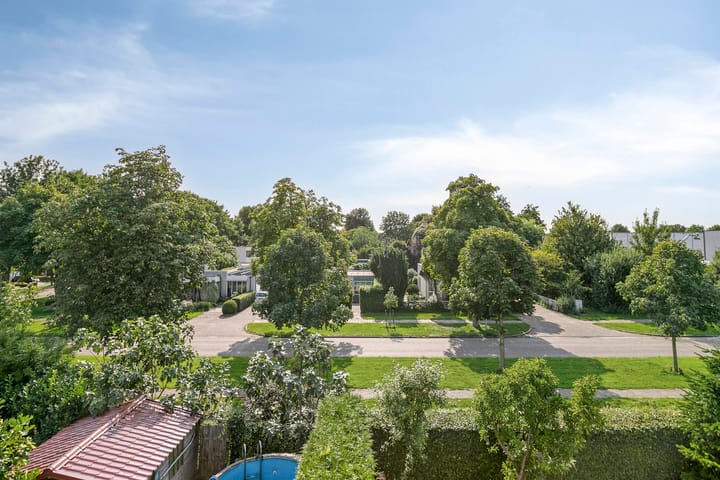 Foto 4 van Punter 18