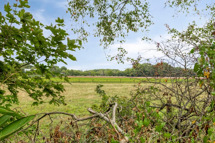 Foto 33 van Schuineslootweg 50