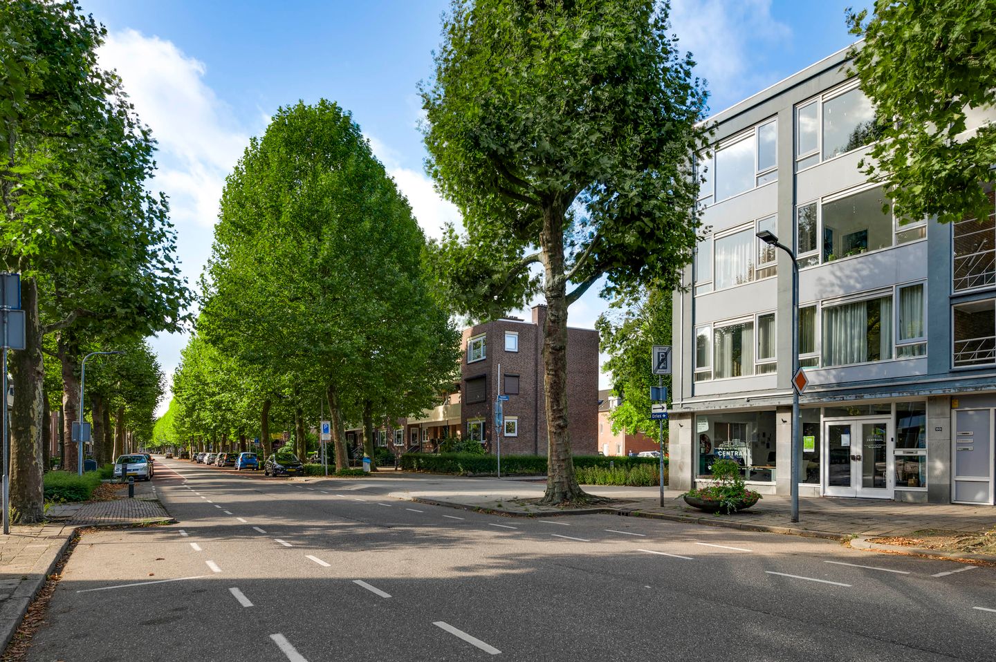 Foto 19 van Dries 76