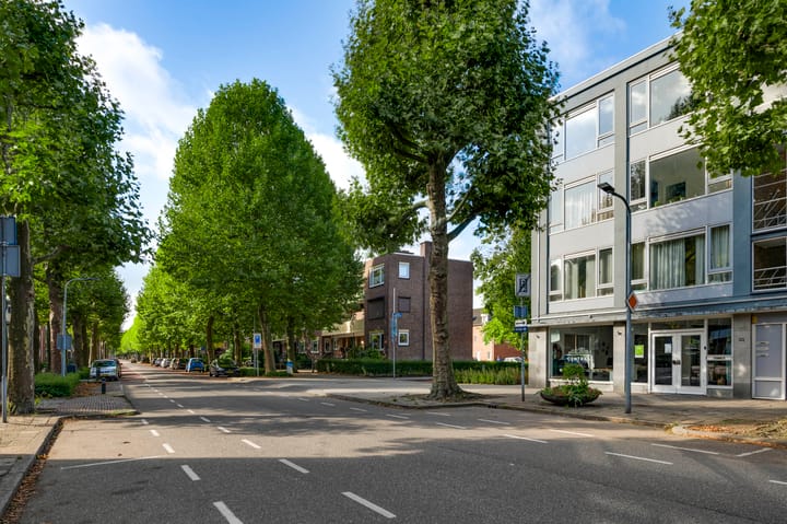 Foto 19 van Dries 76