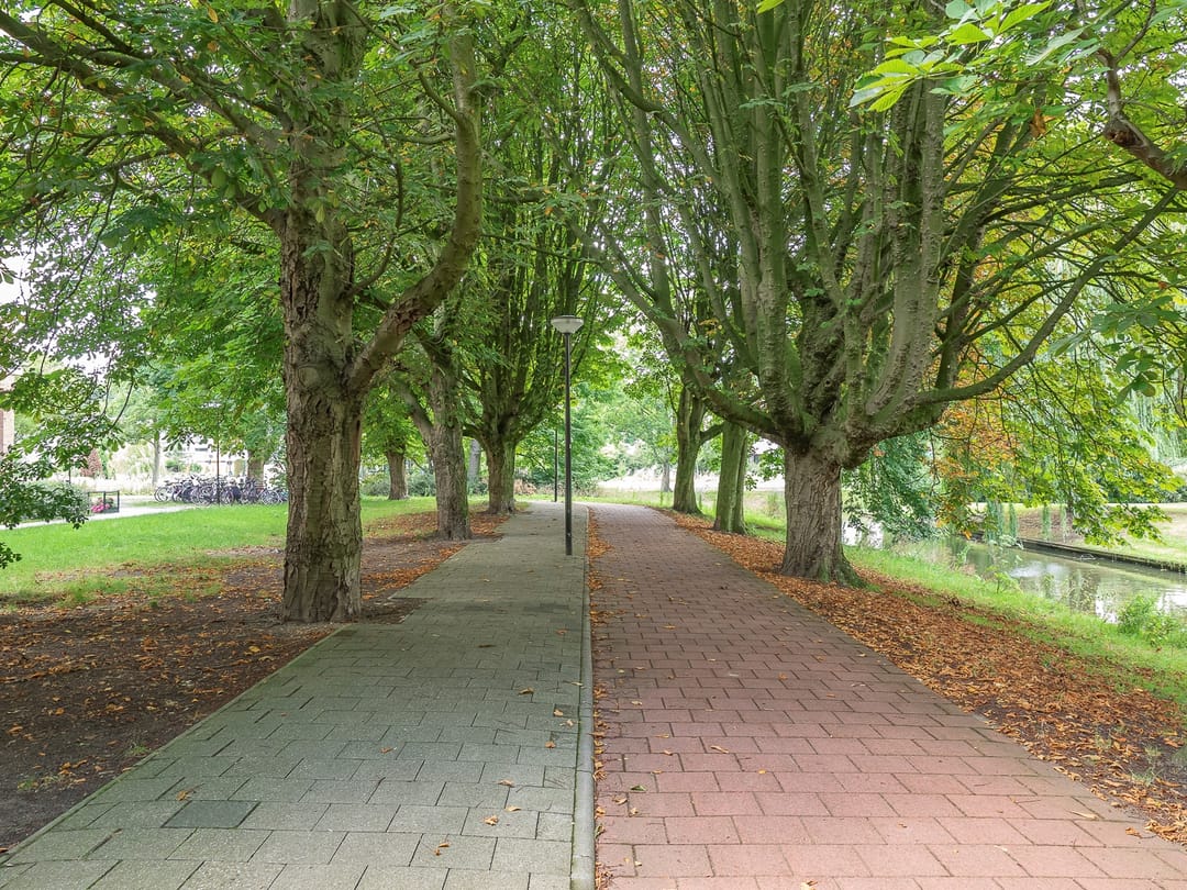 Foto 41 van Sir Winston Churchillln 275-F164