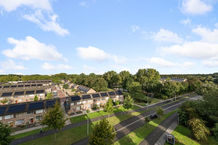 Foto 3 van Lupinesingel 366