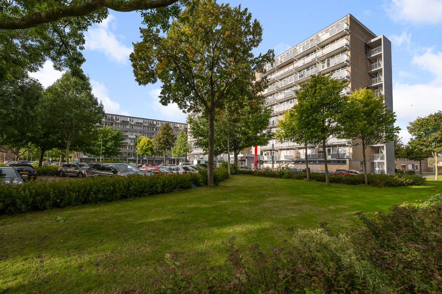 Foto 20 van Lupinesingel 366