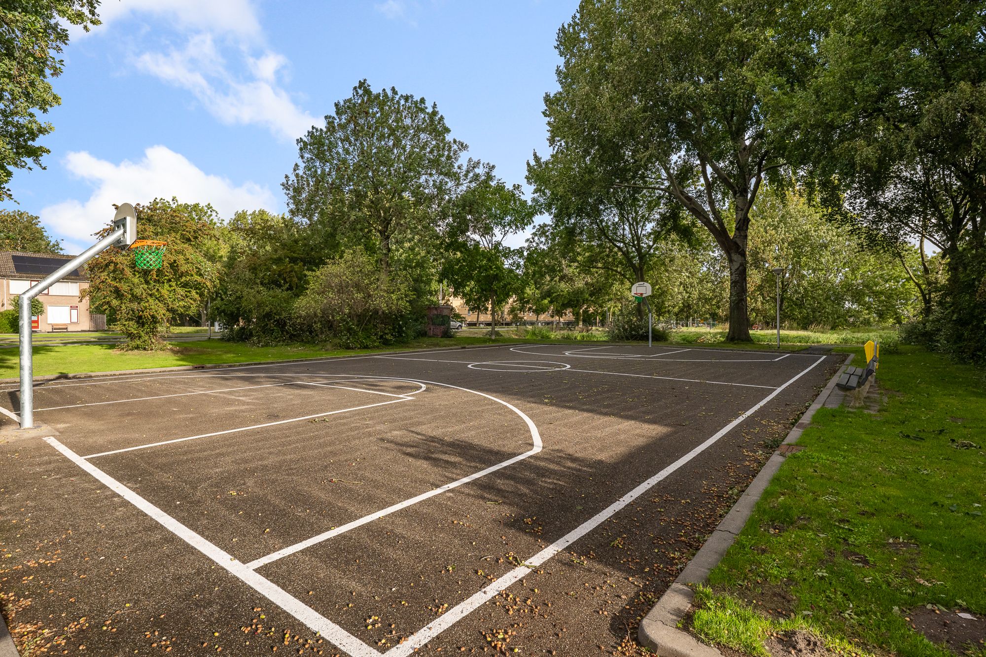 Foto 21 van Lupinesingel 366