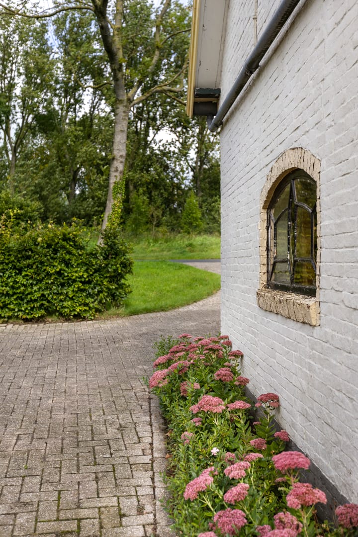 Foto 58 van Boterdiep Wz 41