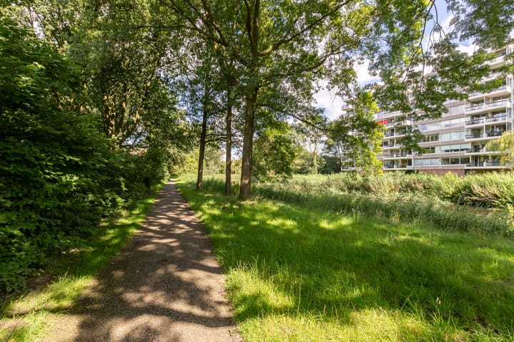 Foto 38 van Verdiweg 91