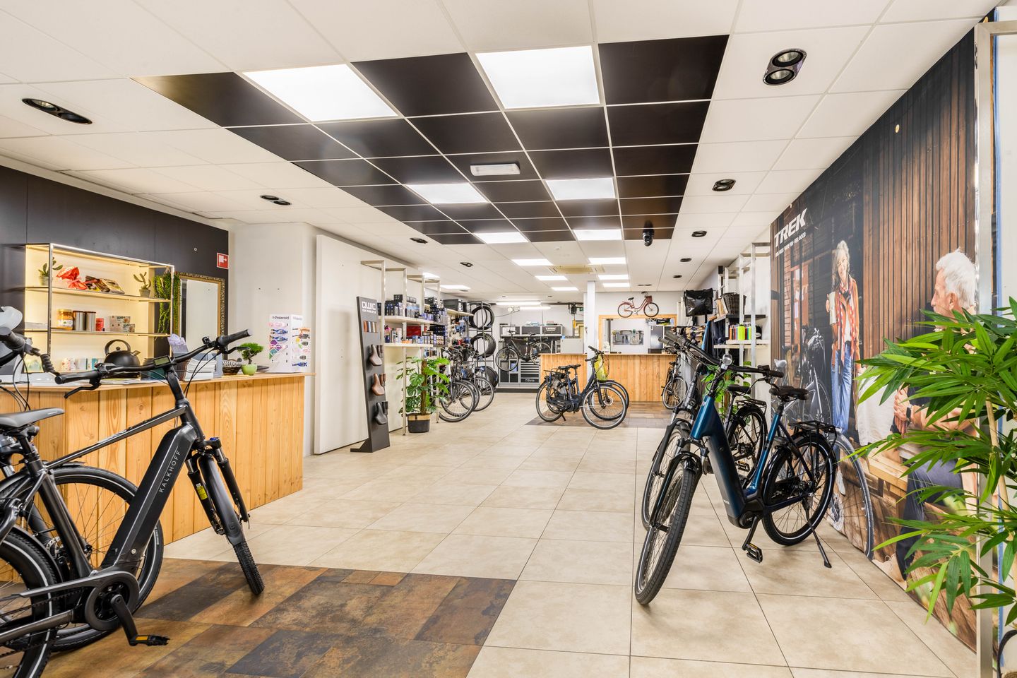 Bekijk foto 5 van Breestraat 87