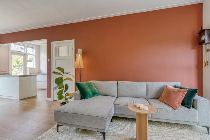 Foto 13 van Boudewijn van Roonstraat 22