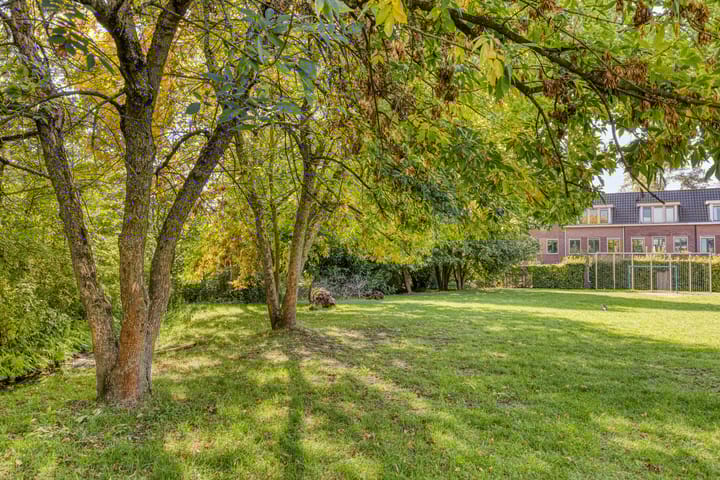 Foto 49 van Boudewijn van Roonstraat 22