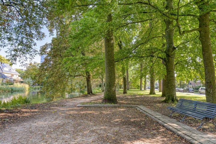 Foto 50 van Boudewijn van Roonstraat 22