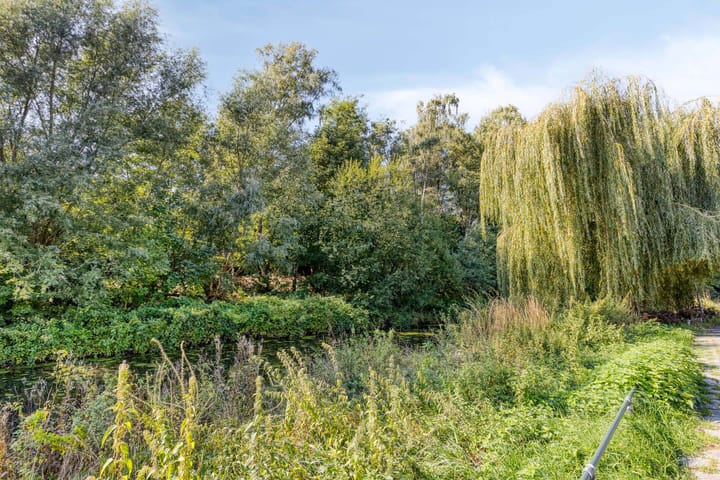 Foto 51 van Boudewijn van Roonstraat 22