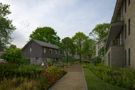 Hoendersveld main image