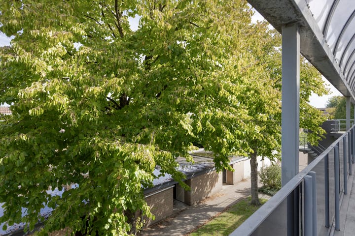 Foto 9 van Lidwinahof 121