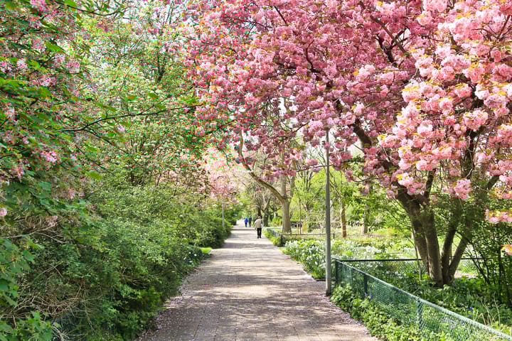 Foto 32 van Arent Janszoon Ernststraat 727-L