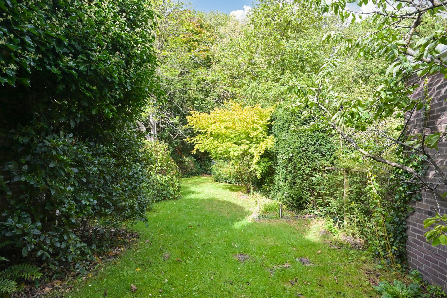 Foto 19 van Waalsdorperweg 18