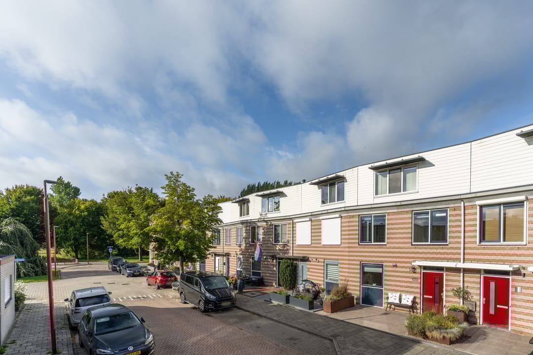 Foto 1 van Gerard ter Borchhage 110