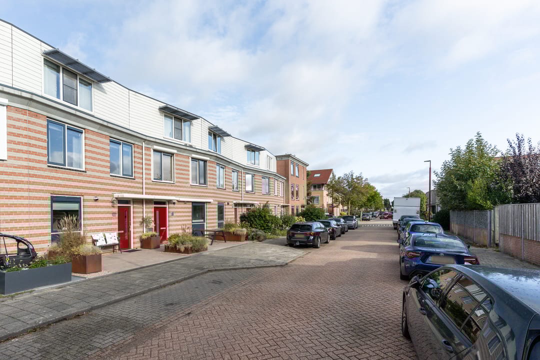 Foto 8 van Gerard ter Borchhage 110