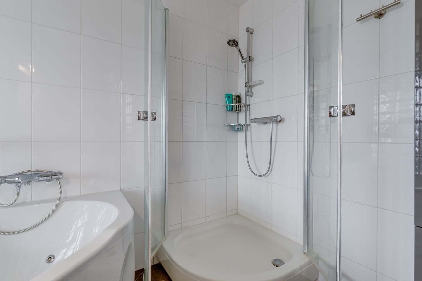 Foto 29 van Gerard ter Borchhage 110