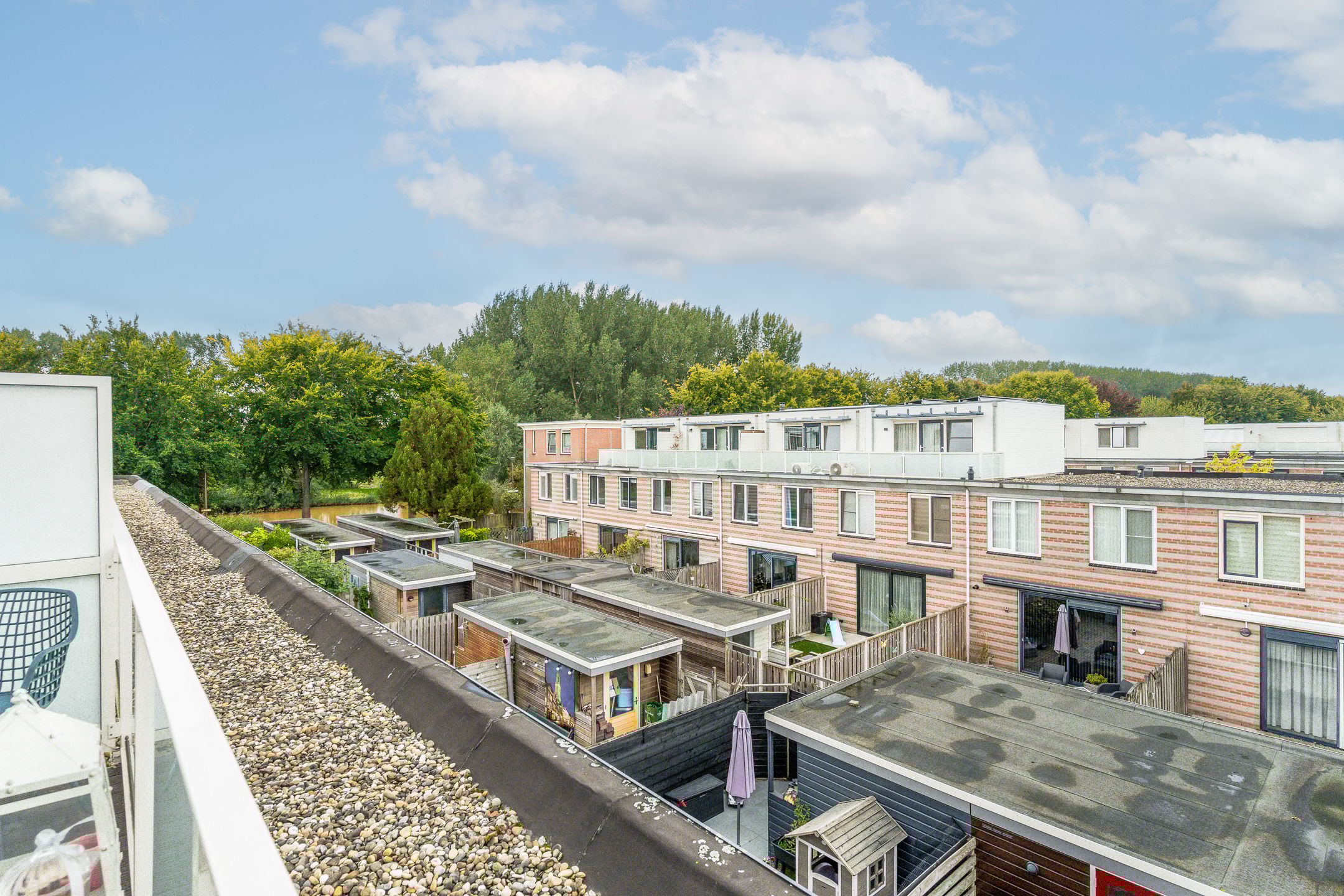 Foto 39 van Gerard ter Borchhage 110