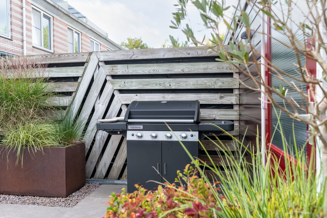 Foto 41 van Gerard ter Borchhage 110