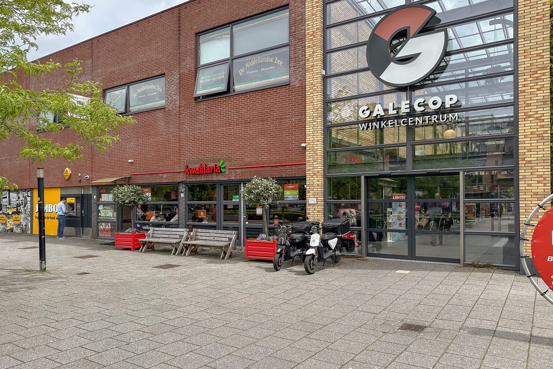 Foto 46 van Gerard ter Borchhage 110