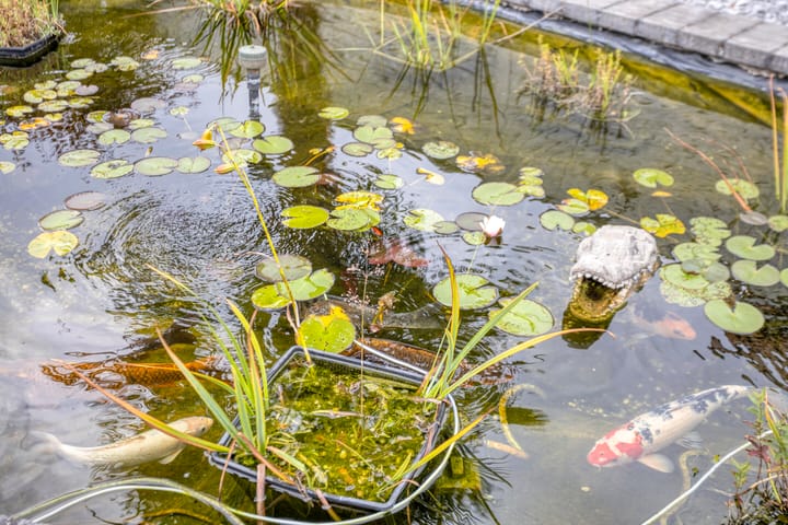 Foto 38 van Schout Offermanstraat 3