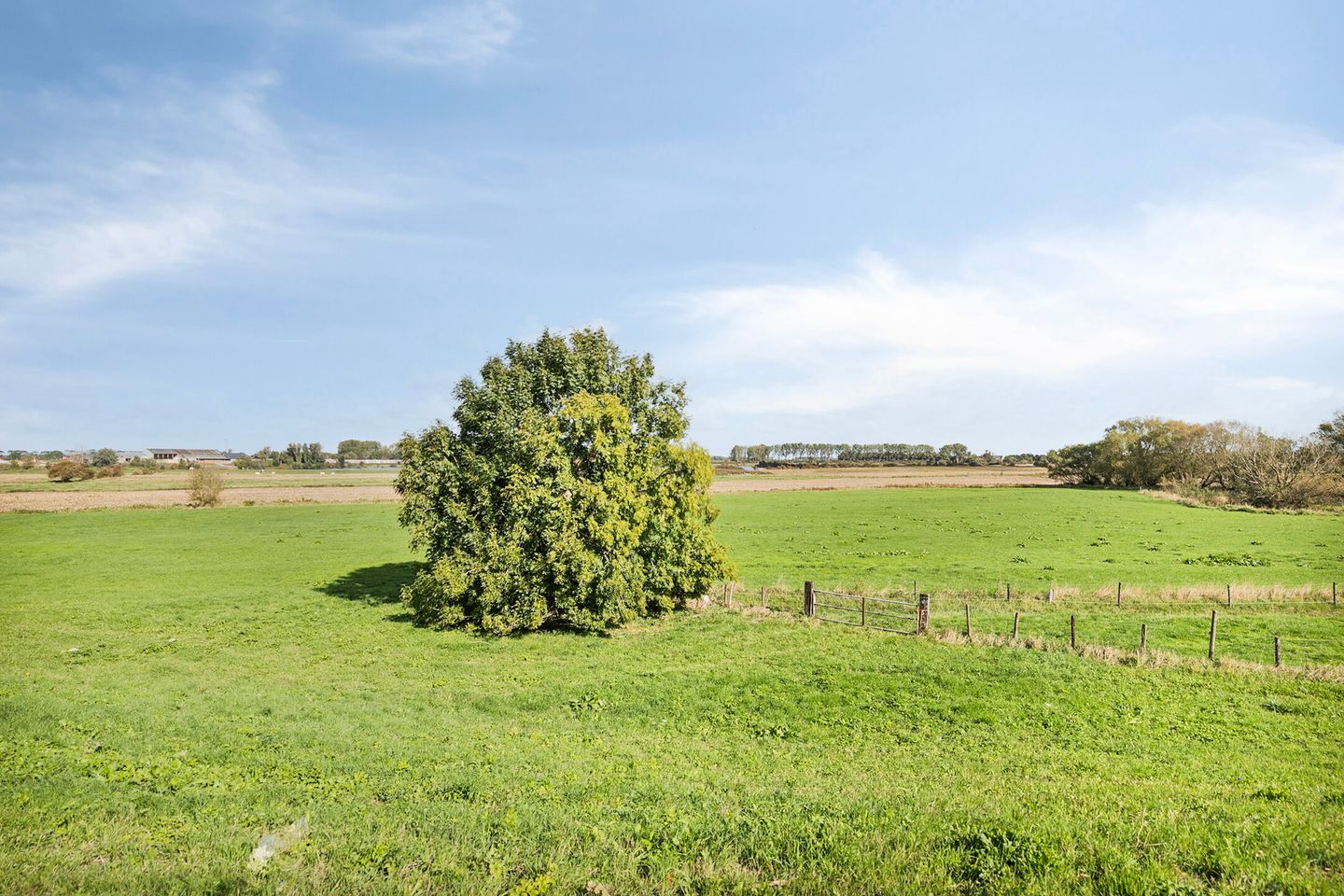 Foto 34 van Weikesstraat 28