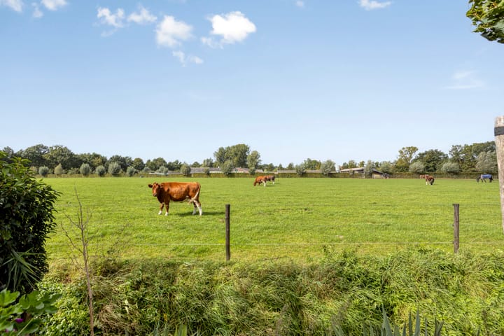 Foto 31 van Sandershoeve 18