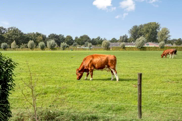 Foto 32 van Sandershoeve 18