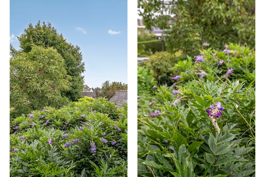 Foto 28 van Vaarselstraat 11