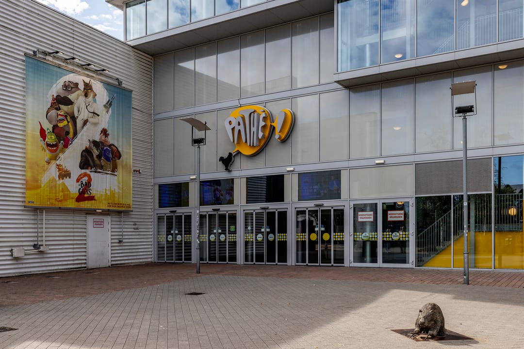 Foto 41 van Cor Kieboomplein 305